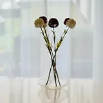 2 Bedroom Premium In The Heart Of * Ταλίν